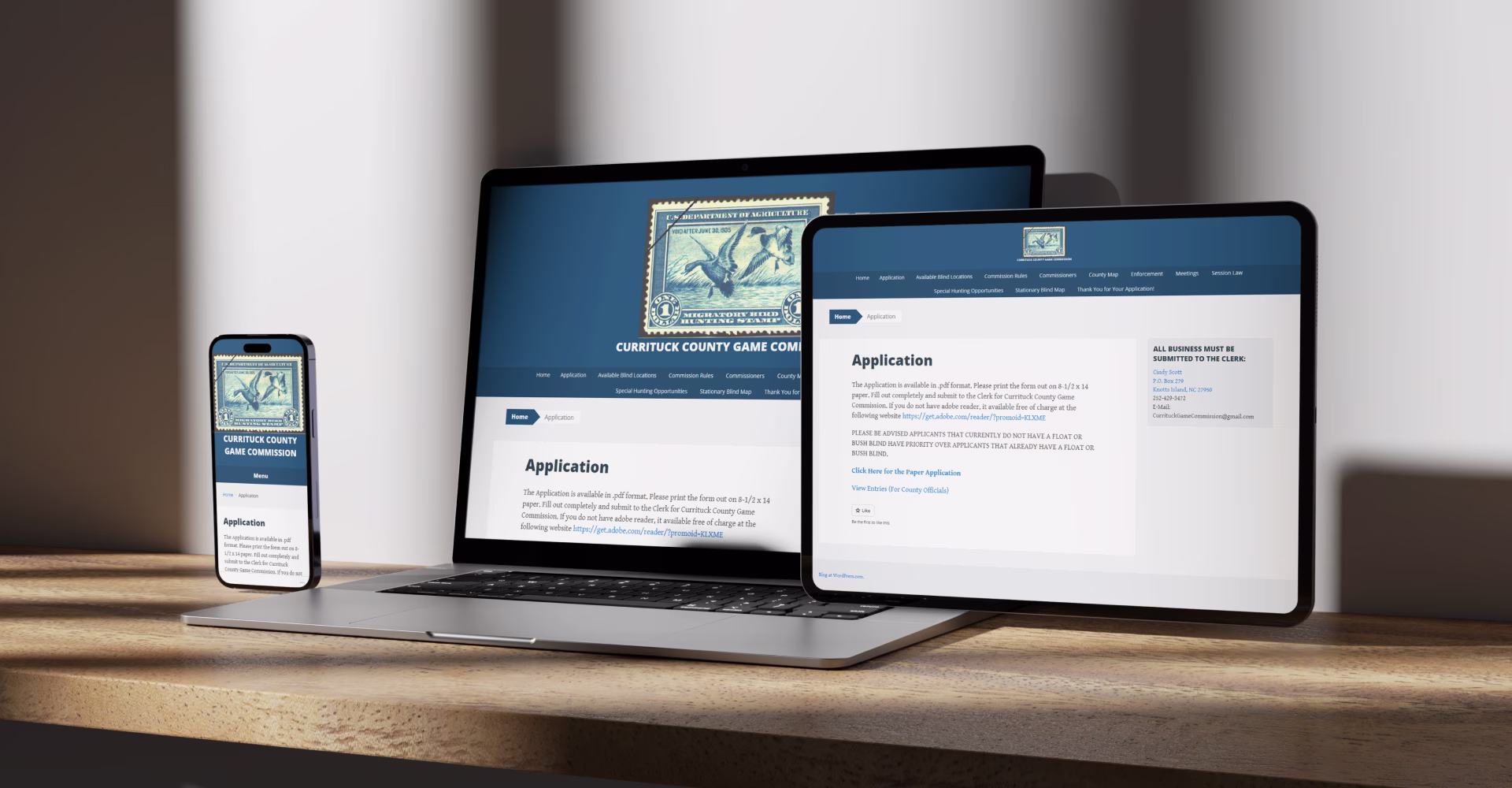 Web app development